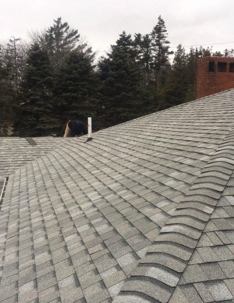 asphalt shingle roof