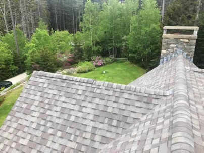 an asphalt shingle roof